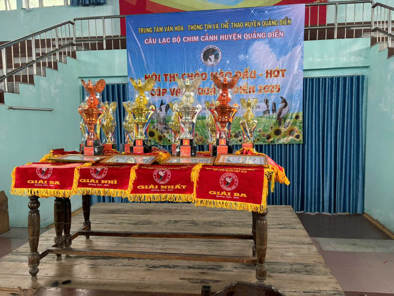 Cho mượn nhà thi đấu nhưng "không hề biết" hội thi chim chào mào "chui"?- Ảnh 2.