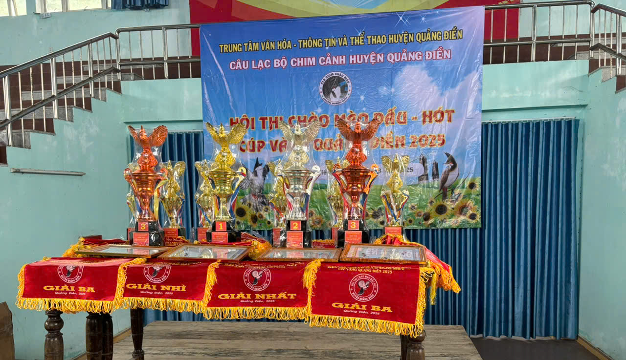 Huyện bắt giải tr&igrave;nh v&igrave; c&oacute; người tới "nh&agrave;" tổ chức hội thi chim ch&agrave;o m&agrave;o l&eacute;n l&uacute;t- Ảnh 1.
