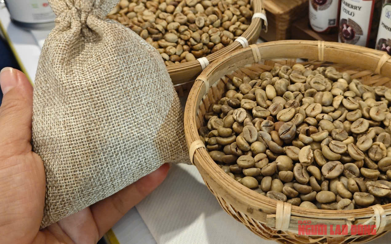 Giá cà phê hôm nay 25-3: Diễn biến trái chiều