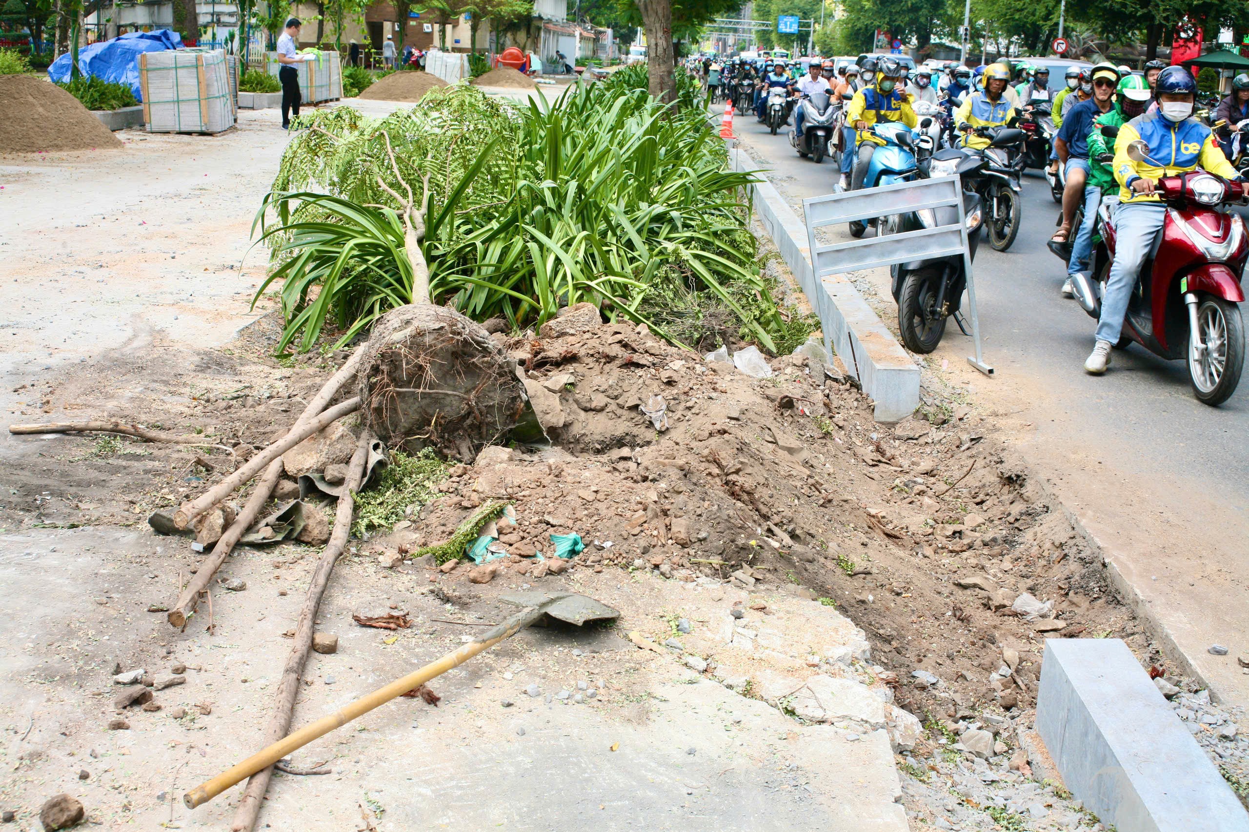 TP HCM: V&igrave; sao đốn hạ nhiều c&acirc;y xanh ở quận 1?- Ảnh 13.