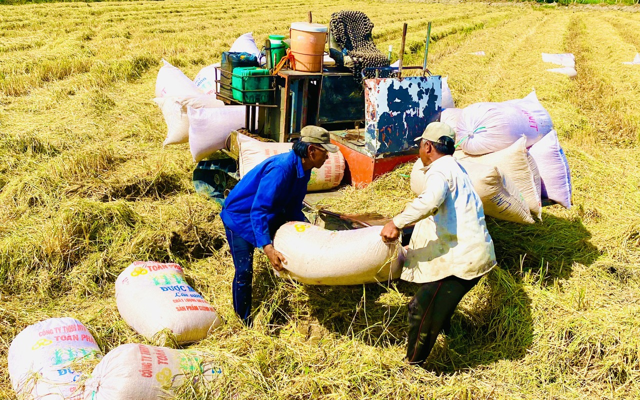 Bộ Công Thương lập đoàn kiểm tra liên ngành về xuất khẩu gạo tại ĐBSCL