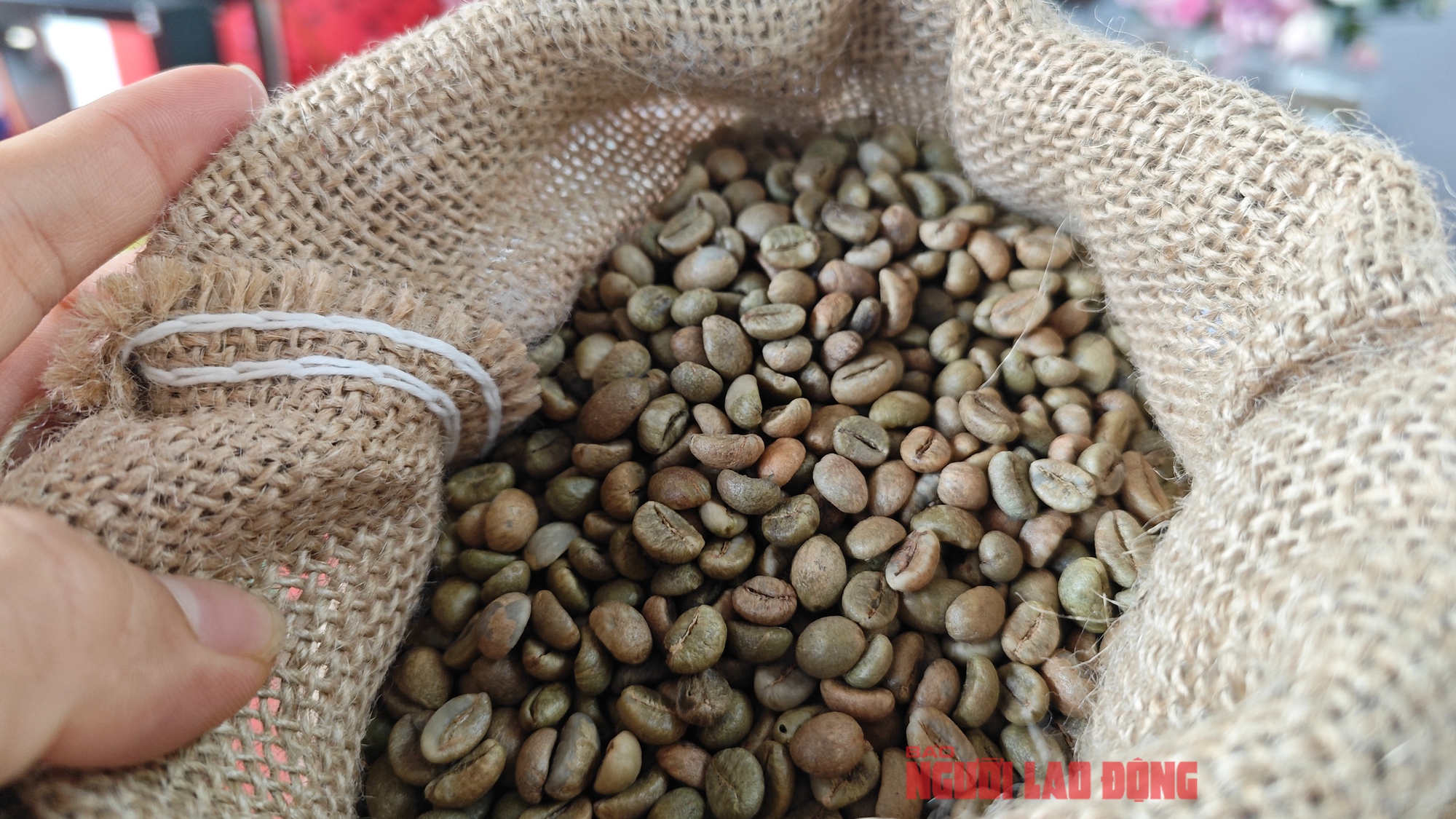 Gi&aacute; c&agrave; ph&ecirc; trong nước ph&aacute; kỷ lục, n&ocirc;ng d&acirc;n tiếp tục găm h&agrave;ng- Ảnh 2.