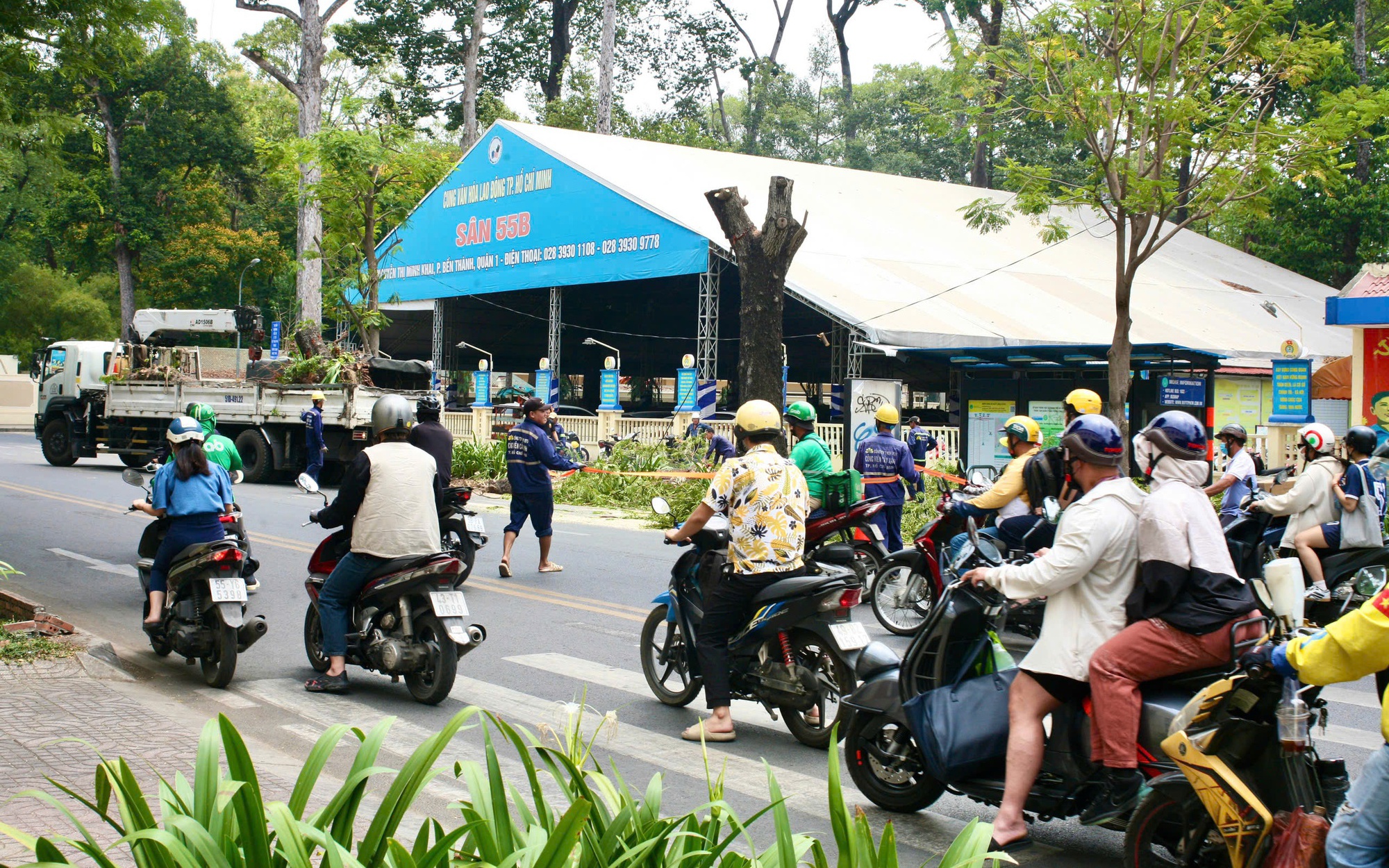 Cải tạo vỉa hè, cây xanh bị đốn hạ