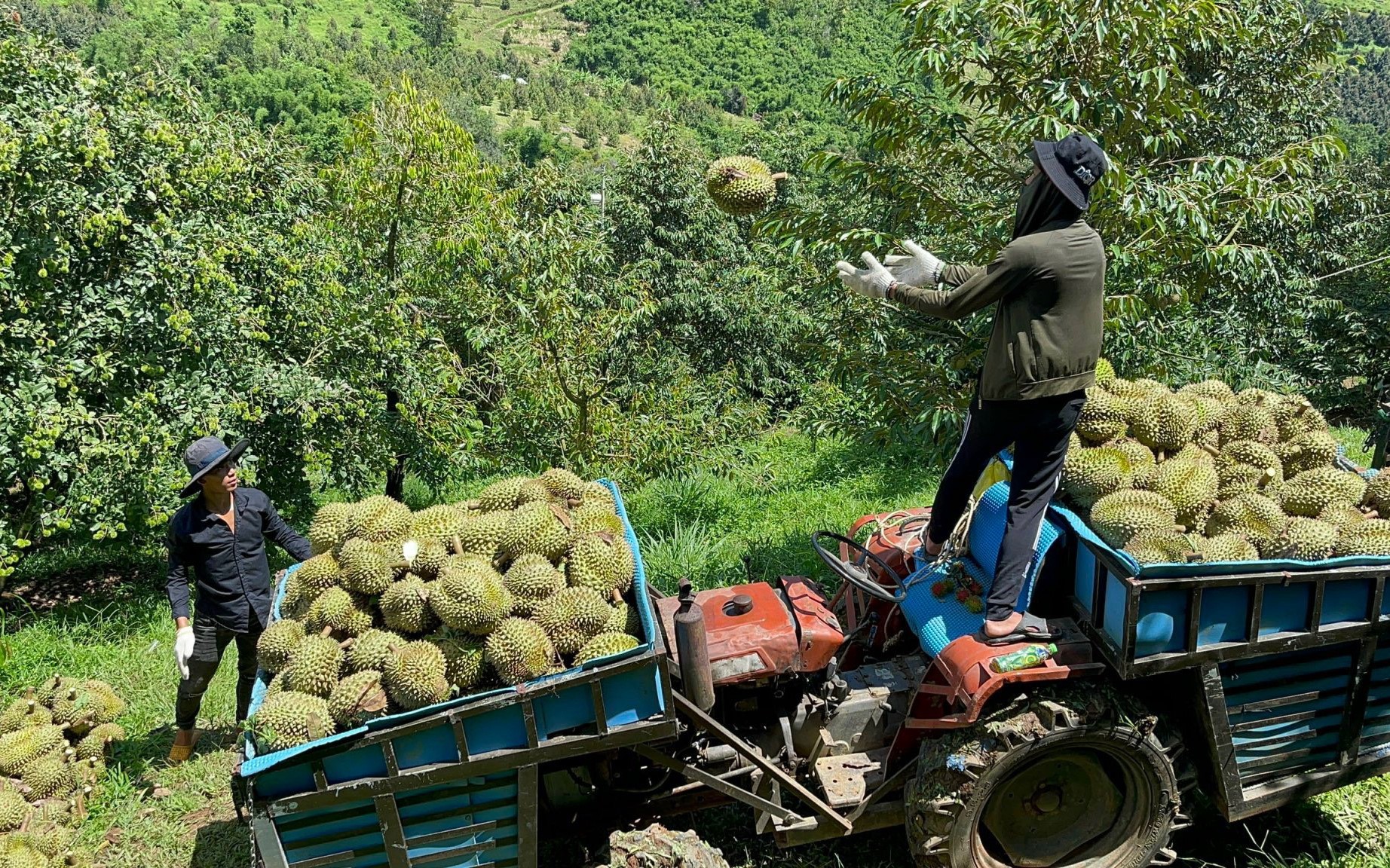 Tiểu đô thị sinh thái Khánh Sơn công bố quy hoạch, xúc tiến đầu tư- Ảnh 4.