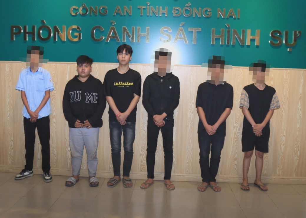 Ch&acirc;n dung nh&oacute;m đối tượng đ&aacute;nh nam sinh chấn thương sọ n&atilde;o ở Đồng Nai- Ảnh 1.