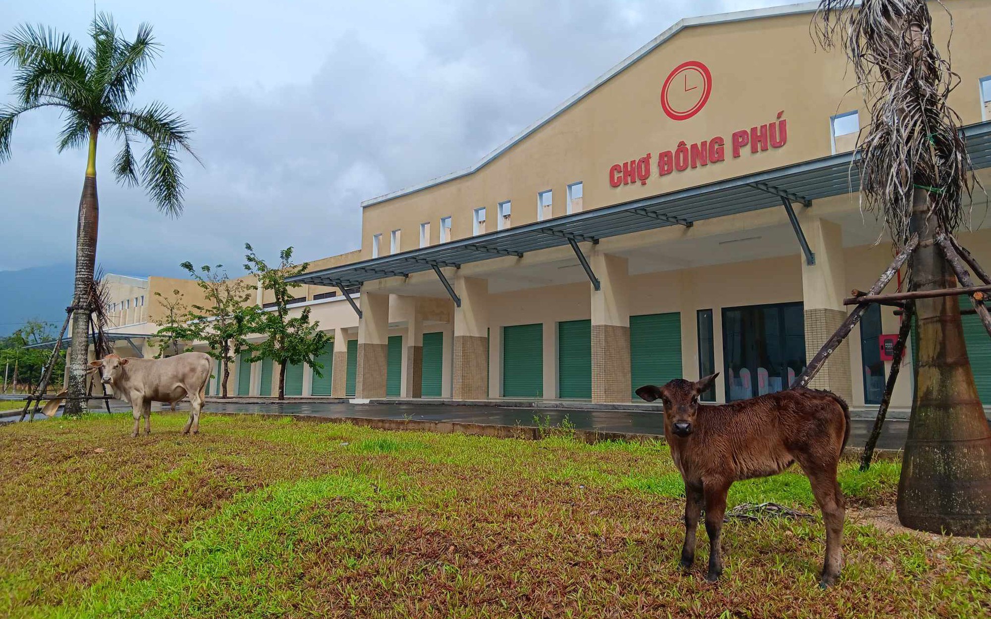 Thanh tra 5 dự án BĐS, Quảng Nam yêu cầu thu hồi 1,7 tỉ đồng