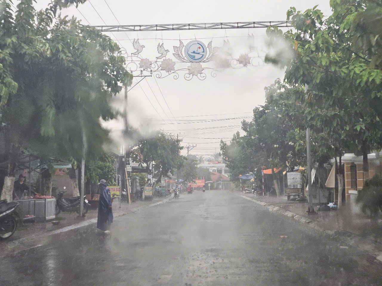 “Cơn mưa vàng” xuất hiện khắp các tỉnh, thành miền Tây- Ảnh 1.