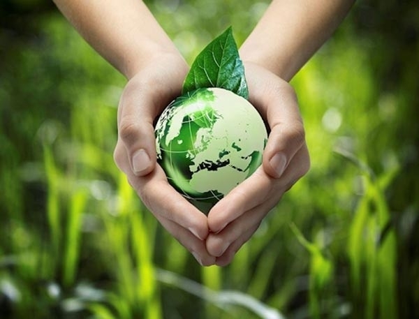 Sống xanh vì môi trường sạch bền vững