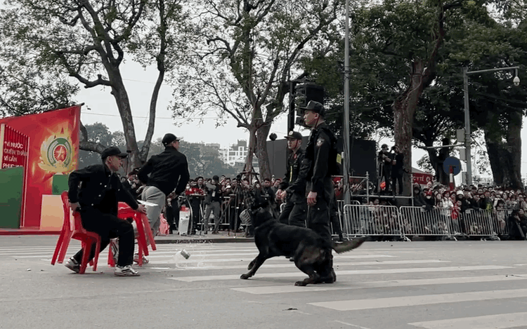 M&atilde;n nh&atilde;n với m&agrave;n tr&igrave;nh diễn kỵ binh, cảnh khuyển trấn &aacute;p tội phạm b&ecirc;n hồ Gươm