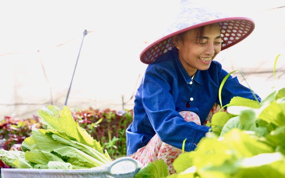 Định vị đô thị nghĩa tình (*): Trợ lực cho ý chí vươn lên