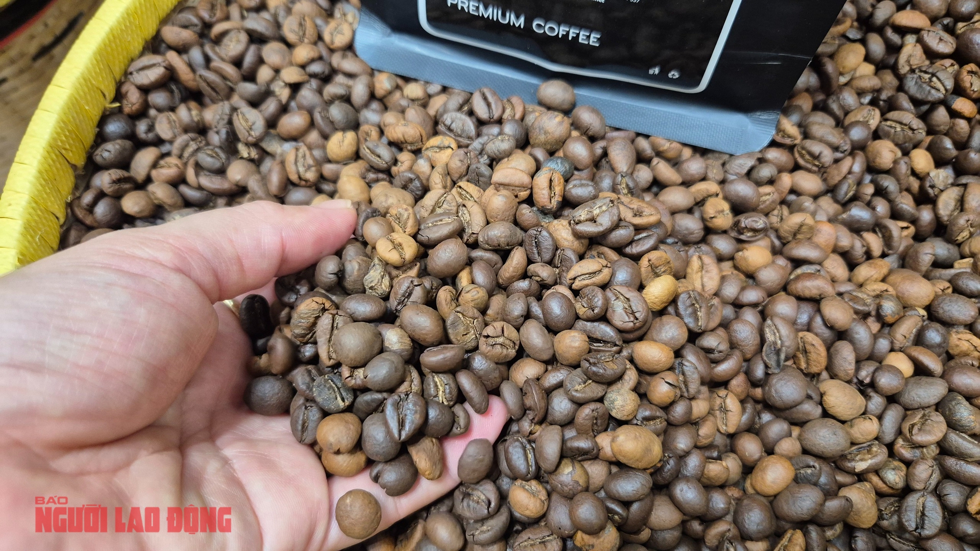 Giá cà phê hôm nay 1-4: Robusta giảm mạnh, thủng mốc quan trọng- Ảnh 2.