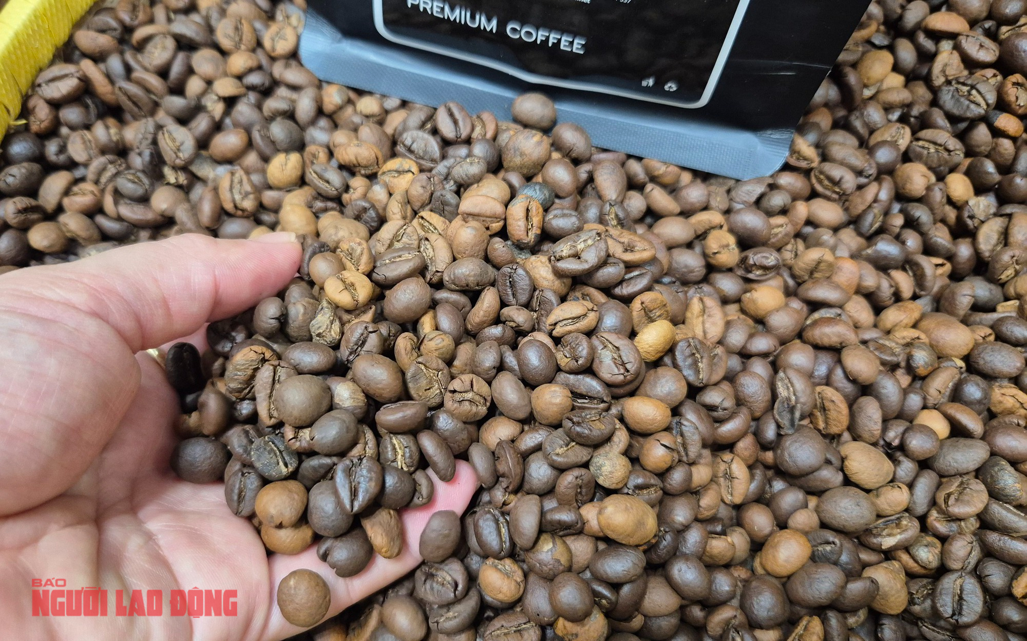 Giá cà phê hôm nay 1-4: Robusta giảm mạnh, thủng mốc quan trọng