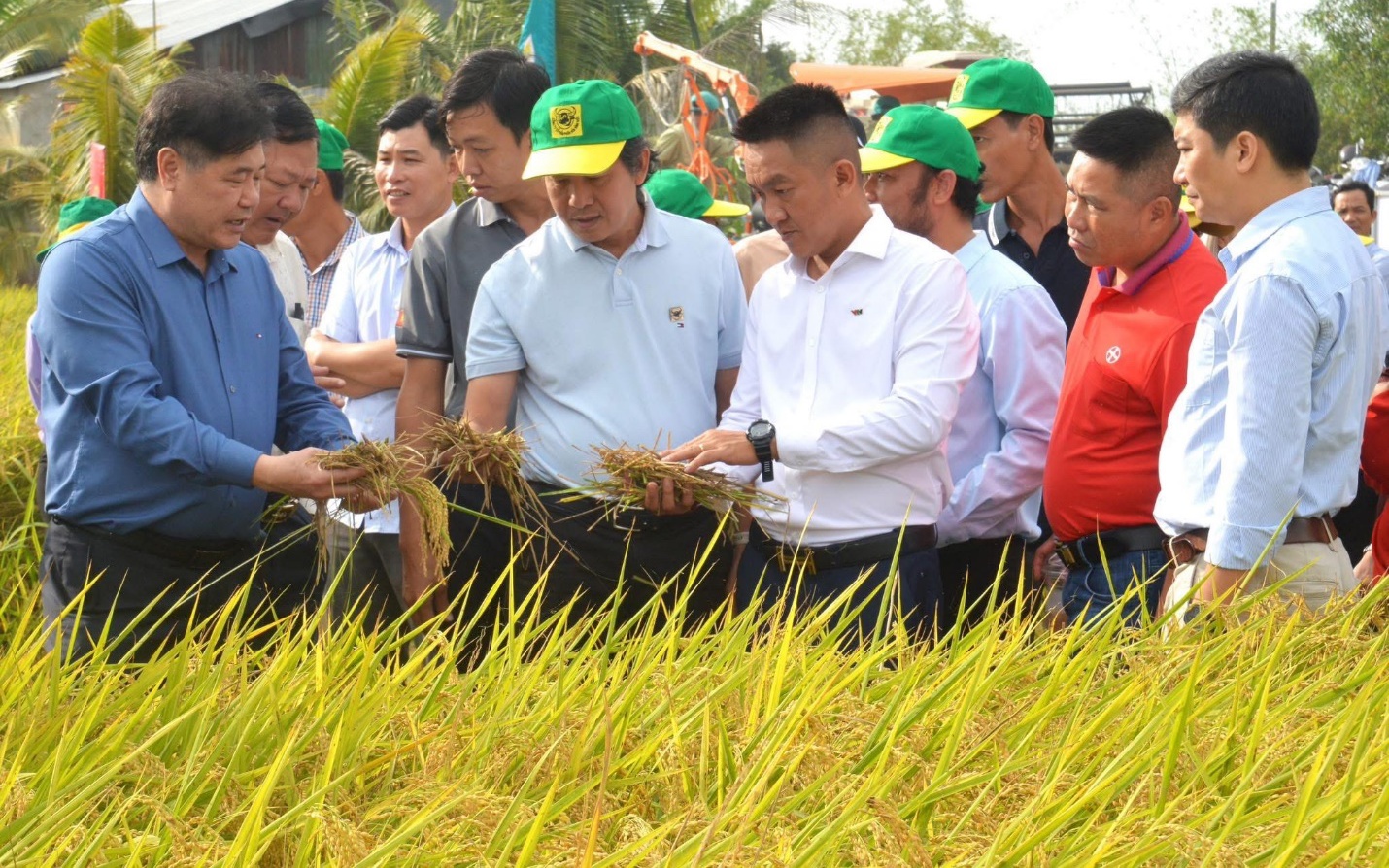 Canh tác lúa giảm phát thải: Hành trình nâng cao giá trị hạt gạo Việt