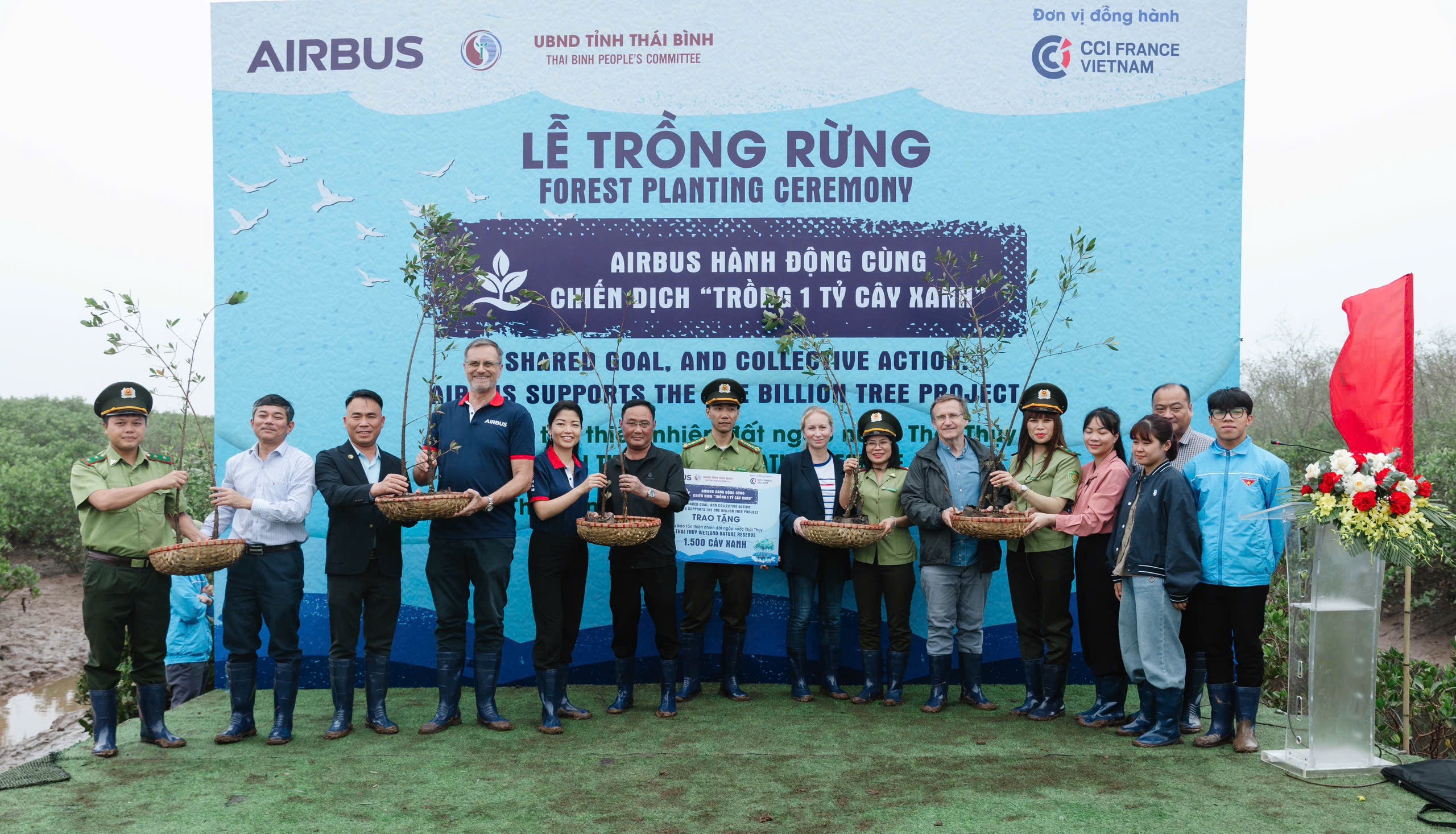 Airbus t&agrave;i trợ trồng 1.500 c&acirc;y ngập mặn- Ảnh 1.