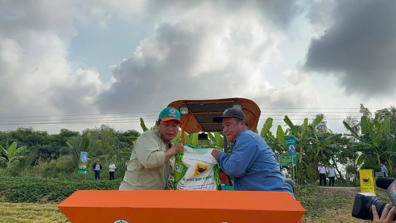 Trả dinh dưỡng lại cho đất l&uacute;a- Ảnh 2.