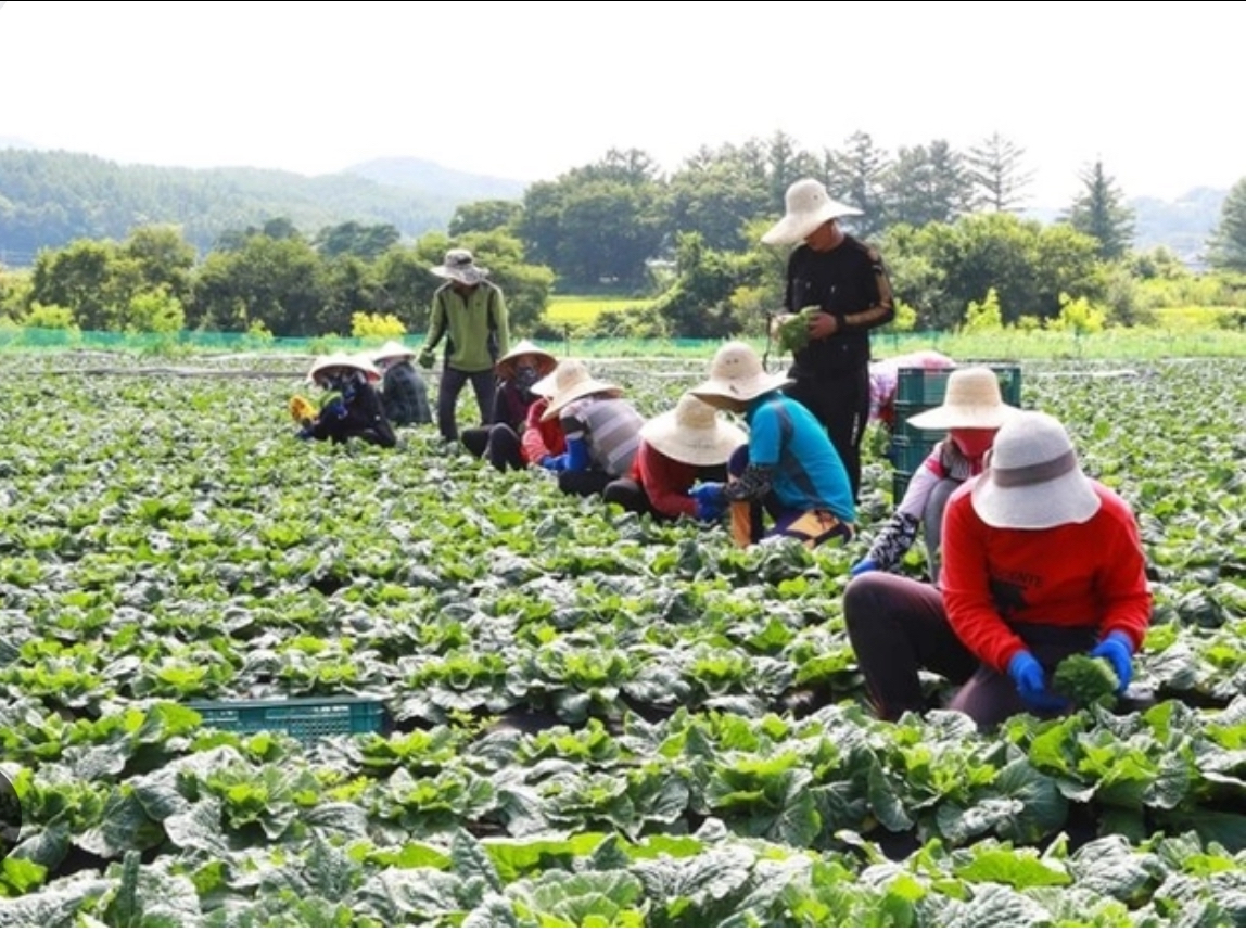 Th&ecirc;m cơ hội cho lao động Việt Nam muốn l&agrave;m việc tại H&agrave;n Quốc l&acirc;u d&agrave;i- Ảnh 2.