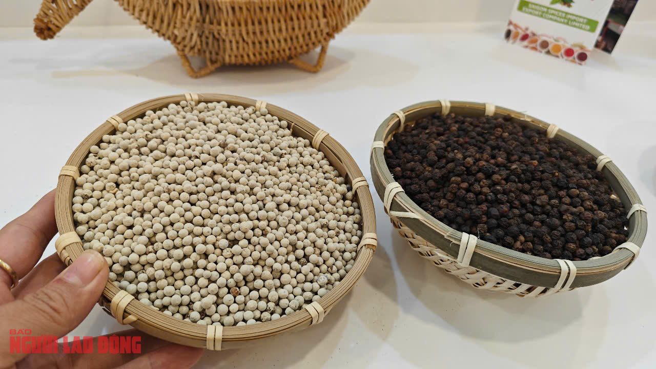 Gi&aacute; ti&ecirc;u h&ocirc;m nay 12-4 tăng n&oacute;ng, doanh nghiệp gom h&agrave;ng xuất khẩu- Ảnh 1.