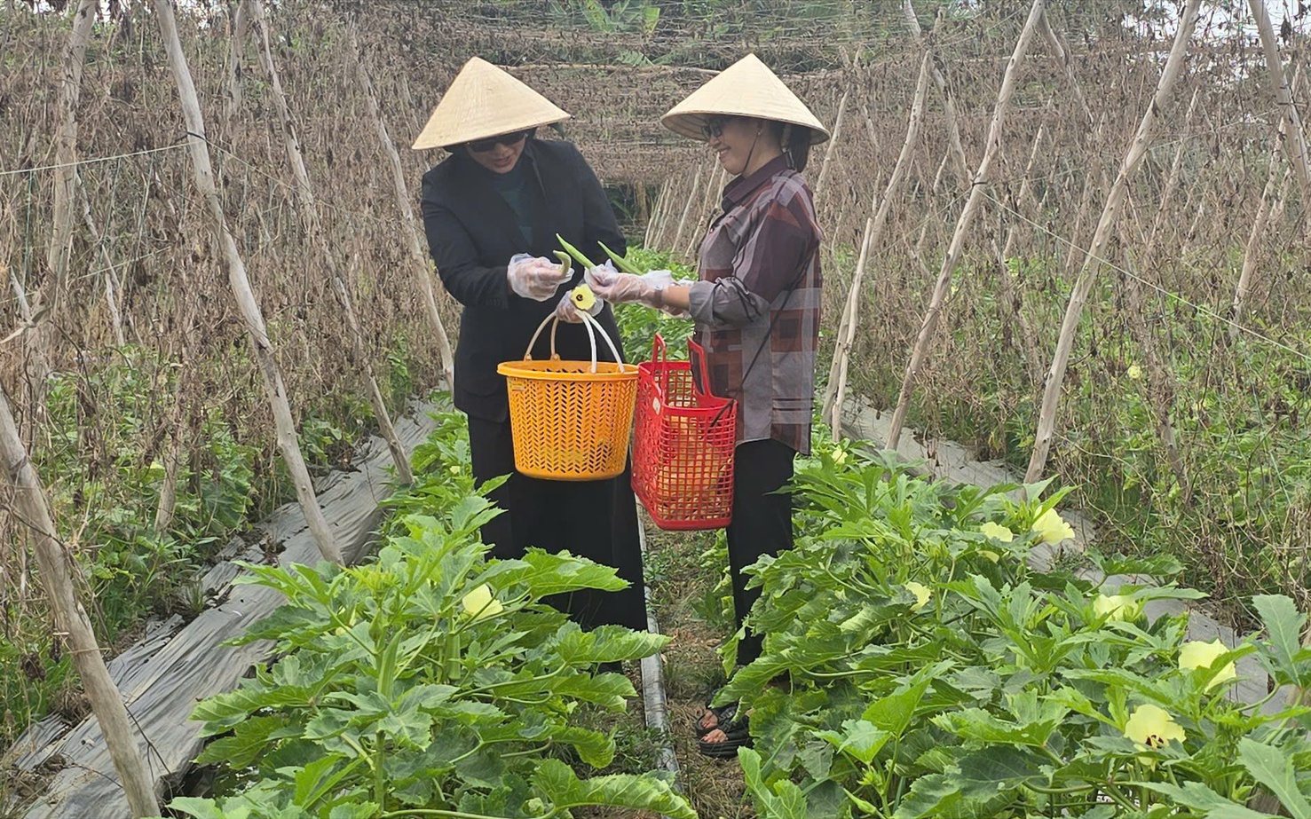 Quỹ hỗ trợ cộng đồng David Dương gi&uacute;p người d&acirc;n vươn l&ecirc;n l&agrave;m gi&agrave;u - Ảnh 4.