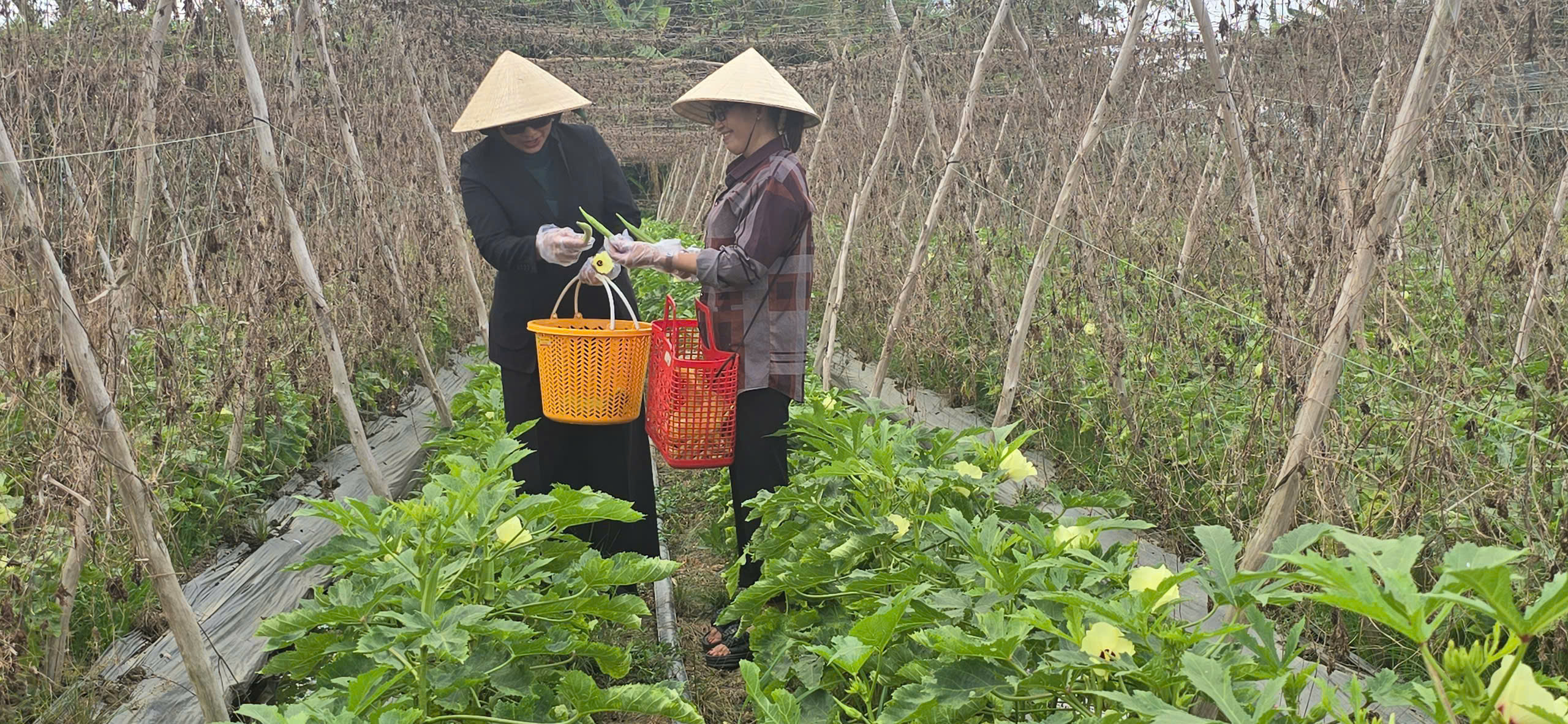 Quỹ hỗ trợ cộng đồng David Dương giúp nông dân ổn định cuộc sống- Ảnh 1.