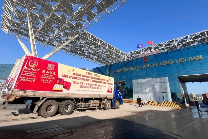 Hợp tác kinh tế - thương mại giữa Việt Nam và Trung Quốc có bước phát triển mạnh mẽ. Trong ảnh: Lô hàng tổ yến đầu tiên được xuất khẩu sang thị trường Trung Quốc qua lối thông quan cầu Bắc Luân II - Móng Cái (tỉnh Quảng Ninh) tháng 11-2024 Ảnh: TTXVN