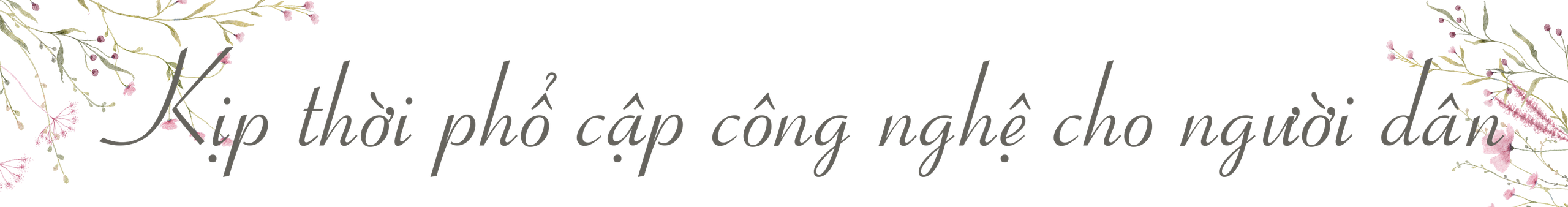 Chắp cánh ước mơ qua từng căn nhà, góc phố- Ảnh 23.
