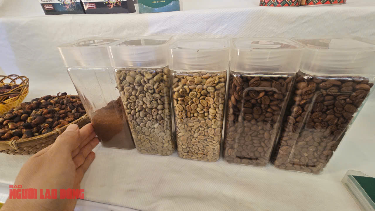Gi&aacute; c&agrave; ph&ecirc; h&ocirc;m nay 16-4: Tăng tiếp, như chưa hề c&oacute; b&atilde;o thuế quan- Ảnh 2.