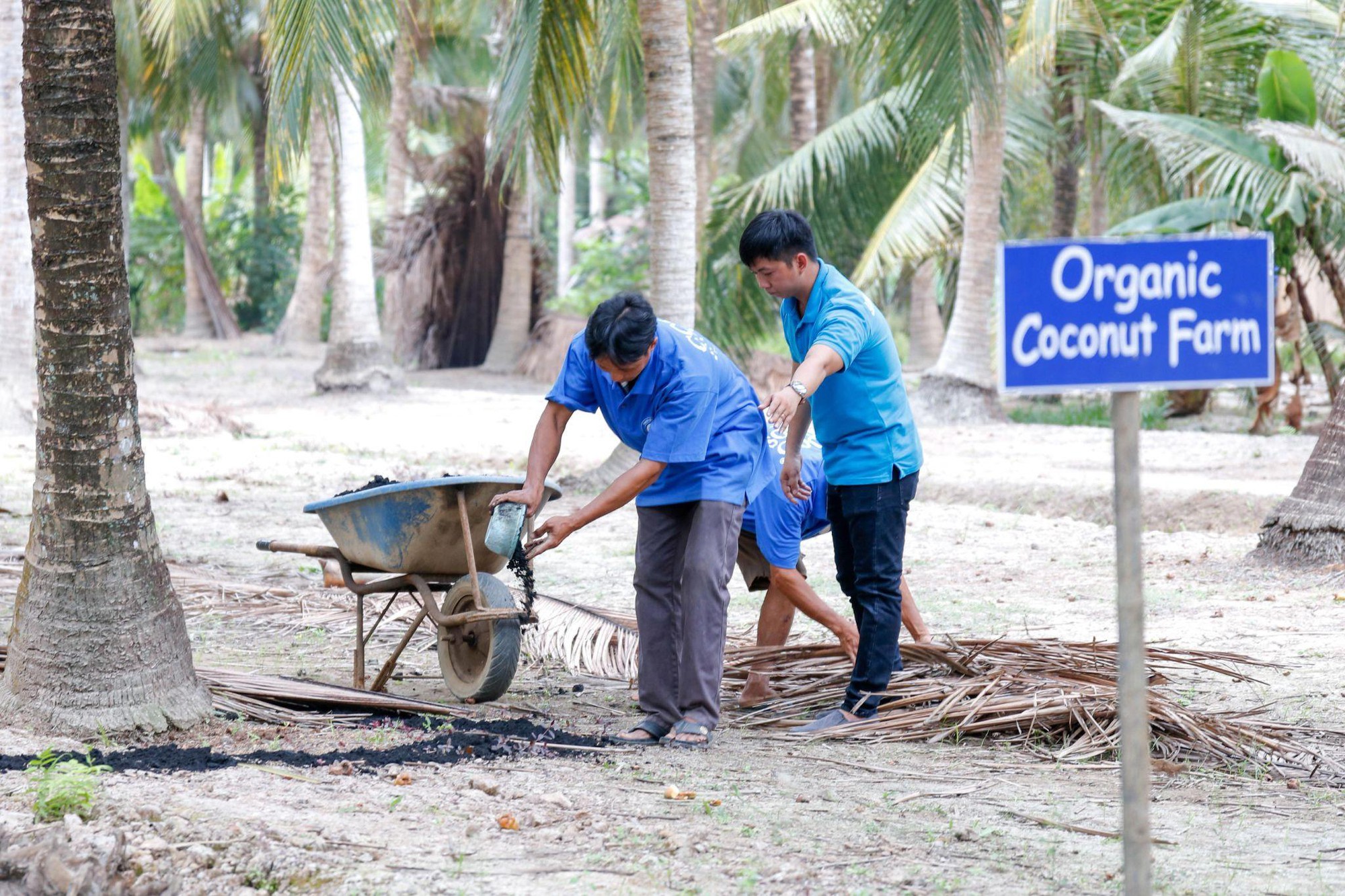 Doanh nghiệp Việt mở lối cho tinh hoa dừa Bến Tre vươn ra thế giới- Ảnh 1.