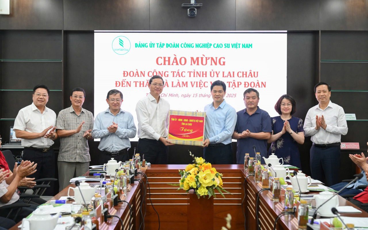 Lai Châu và VRG phối hợp phát triển cao su, nâng kinh tế vùng cao