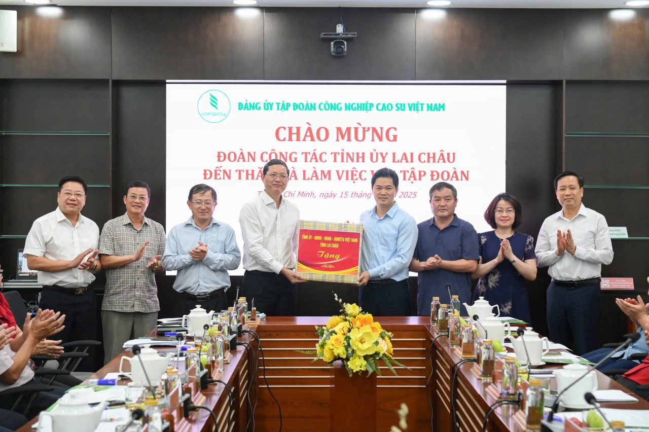 Lai Ch&acirc;u v&agrave; VRG phối hợp ph&aacute;t triển cao su, n&acirc;ng kinh tế v&ugrave;ng cao- Ảnh 1.