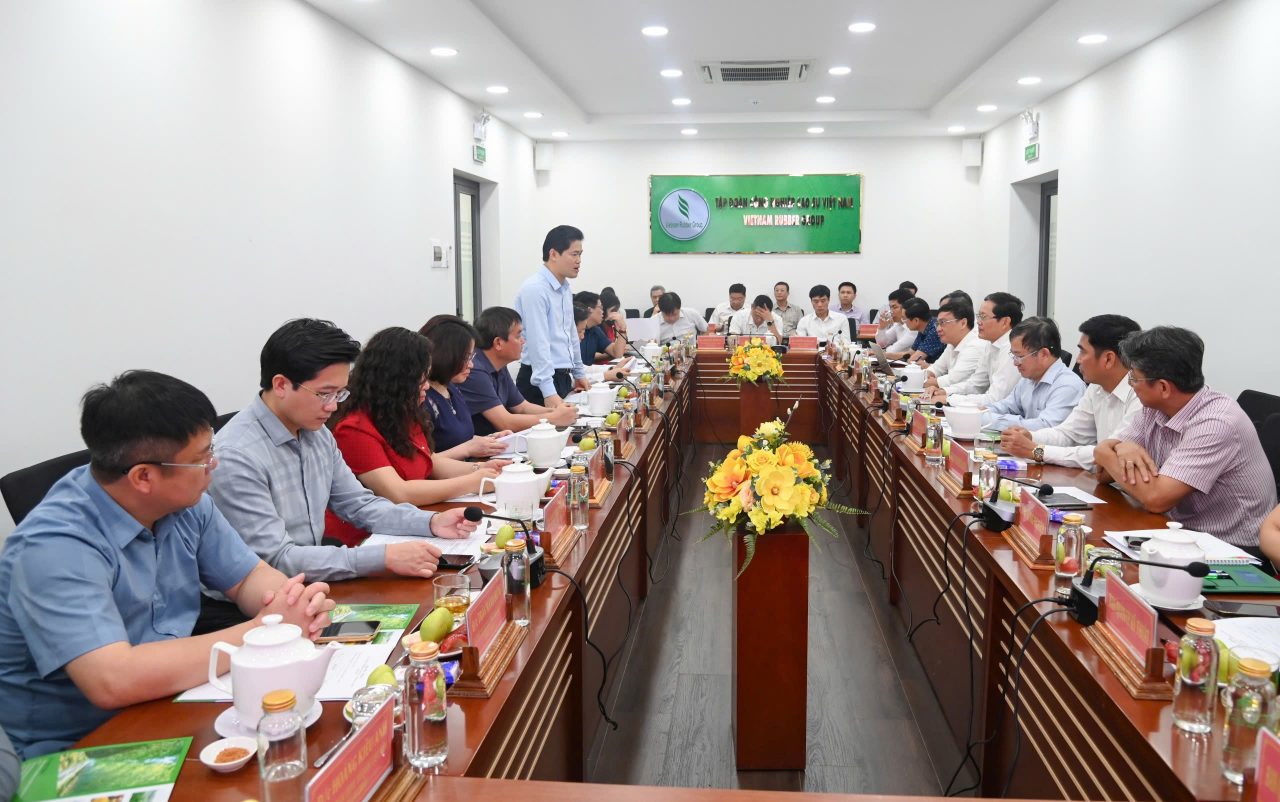 Lai Ch&acirc;u v&agrave; VRG phối hợp ph&aacute;t triển cao su, n&acirc;ng kinh tế v&ugrave;ng cao- Ảnh 2.