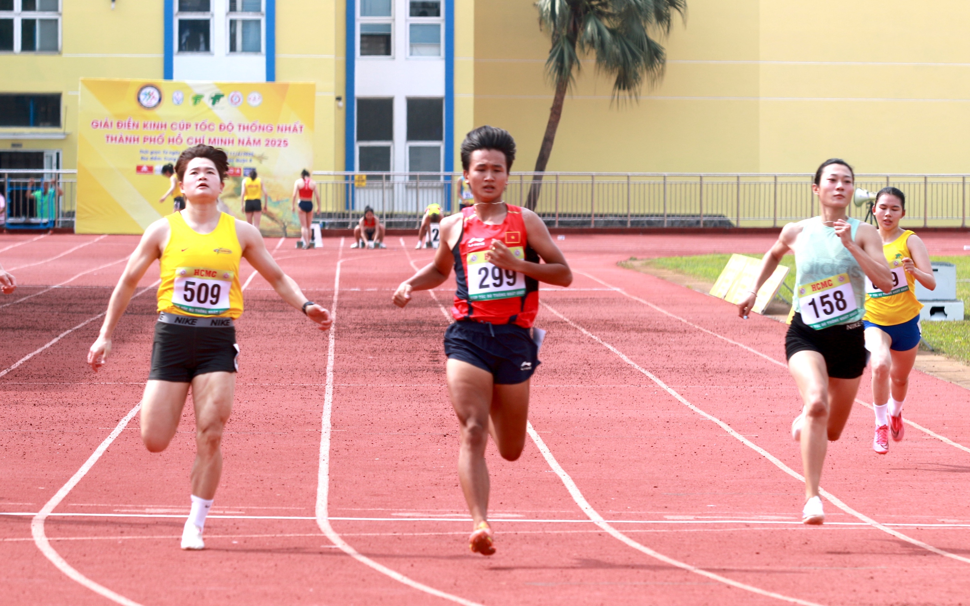 Lê Tú Chinh tái xuất