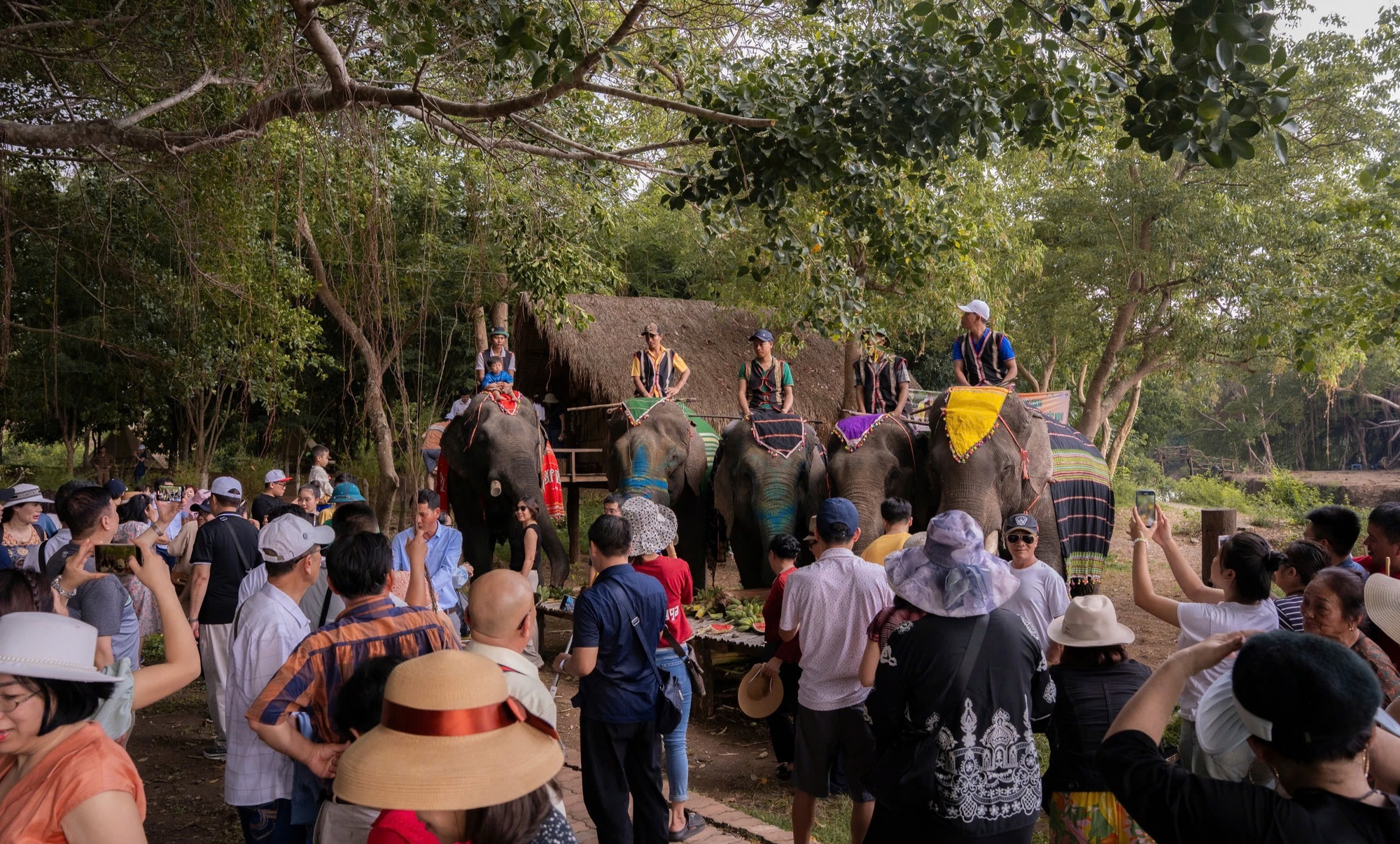 Đắk Lắk: Trải nghiệm bay khinh khí cầu ngắm đại ngàn- Ảnh 2.