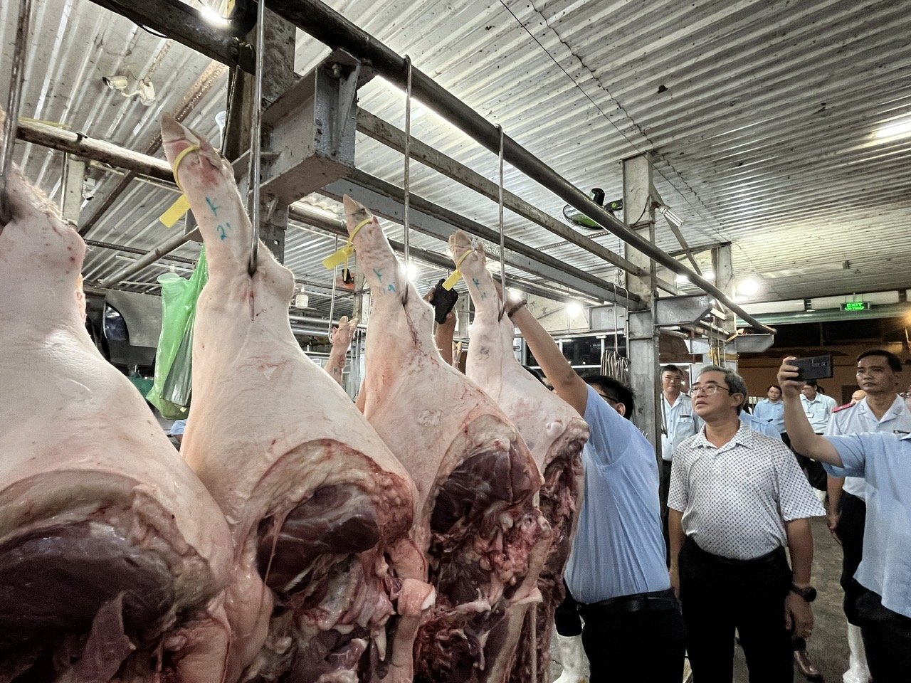 Giá heo hơi hôm nay 16-4: Đồng loạt tăng vọt, miền Nam lập đỉnh mới- Ảnh 1.