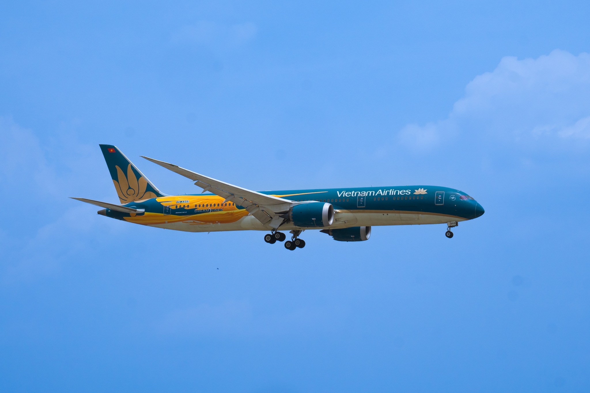 Nguyên nhân Vietnam Airlines sơn hình chim Lạc lên "Giấc mơ bay" Dreamliner- Ảnh 3.