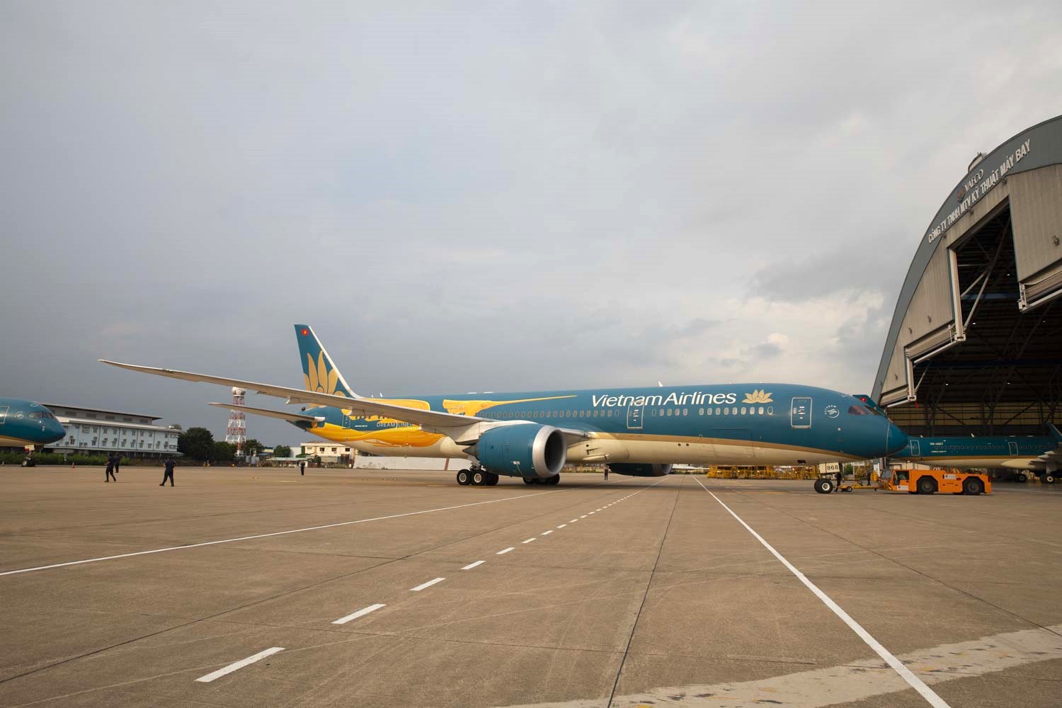 Máy bay Vietnam Airlines rực rỡ diện mạo mới nhân kỷ niệm 30 năm thành lập- Ảnh 6.