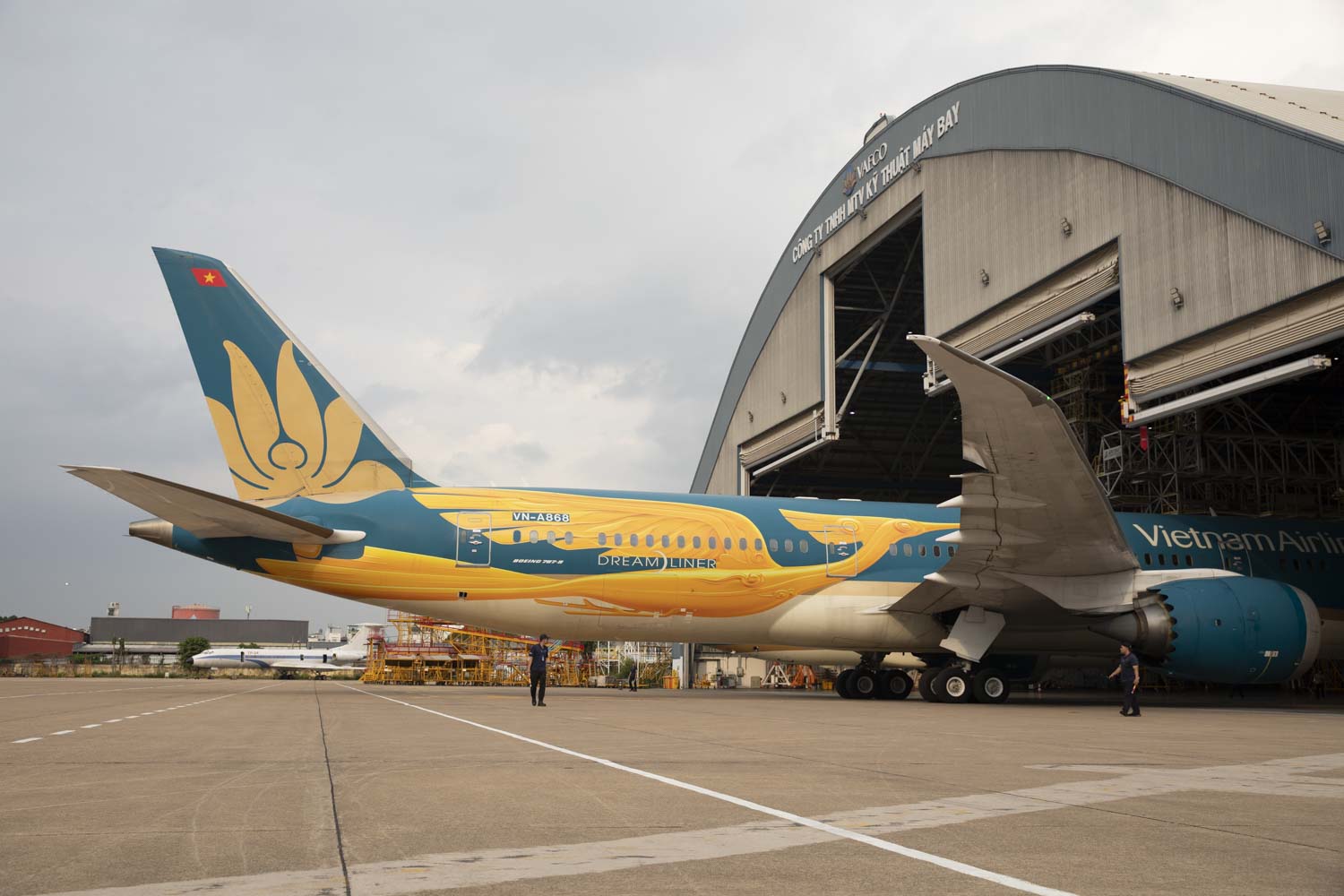 Máy bay Vietnam Airlines rực rỡ diện mạo mới nhân kỷ niệm 30 năm thành lập- Ảnh 8.
