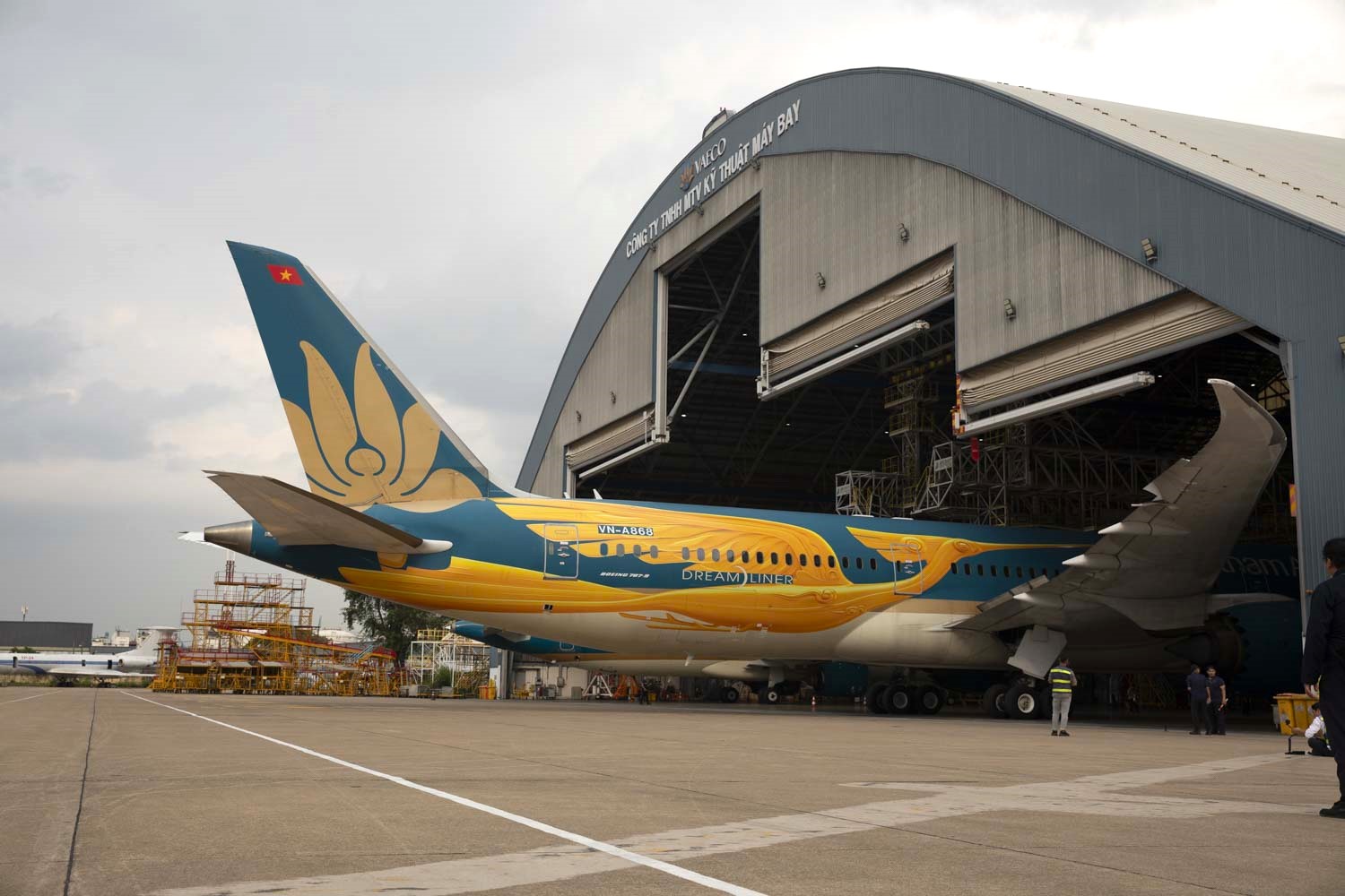 Máy bay Vietnam Airlines rực rỡ diện mạo mới nhân kỷ niệm 30 năm thành lập- Ảnh 7.