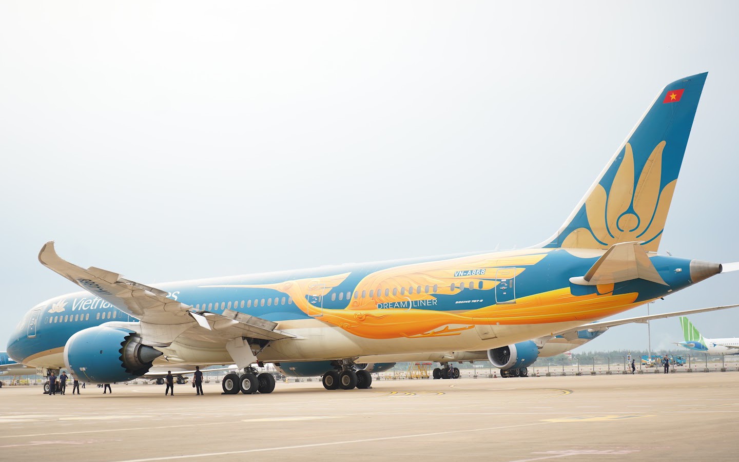 Nguyên nhân Vietnam Airlines sơn hình chim Lạc lên "Giấc mơ bay" Dreamliner