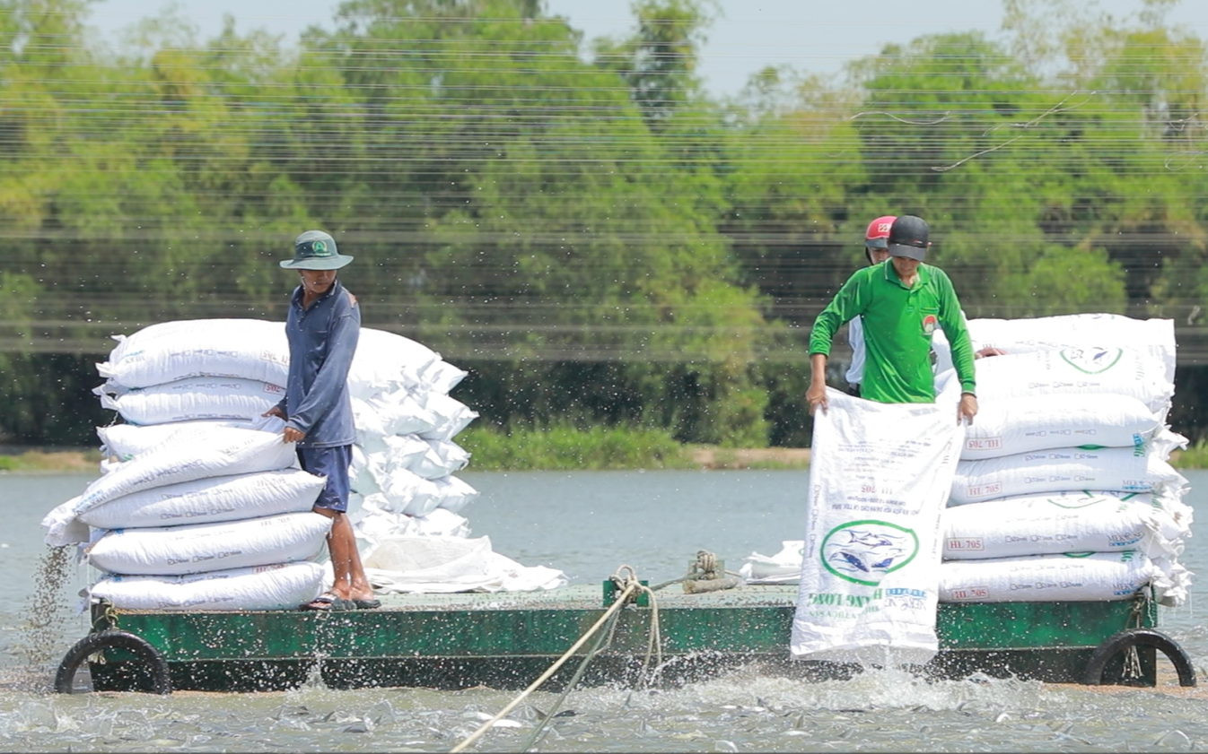 Agribank trợ lực cho &ldquo;đất th&eacute;p&rdquo; vươn m&igrave;nh- Ảnh 2.