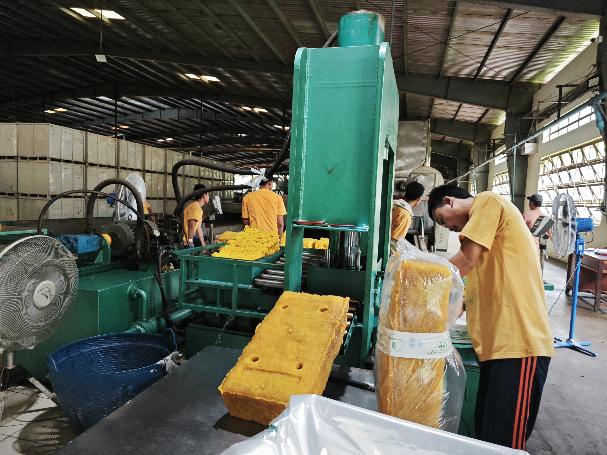 Ba trụ cột tăng trưởng đột phá của VRG năm nay- Ảnh 2.
