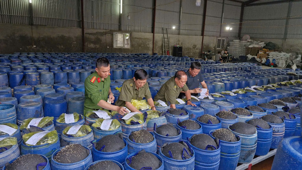 Chất cấm ng&acirc;m 3.500 tấn gi&aacute; đỗ b&aacute;n cho người d&acirc;n độc hại như thế n&agrave;o?- Ảnh 3.