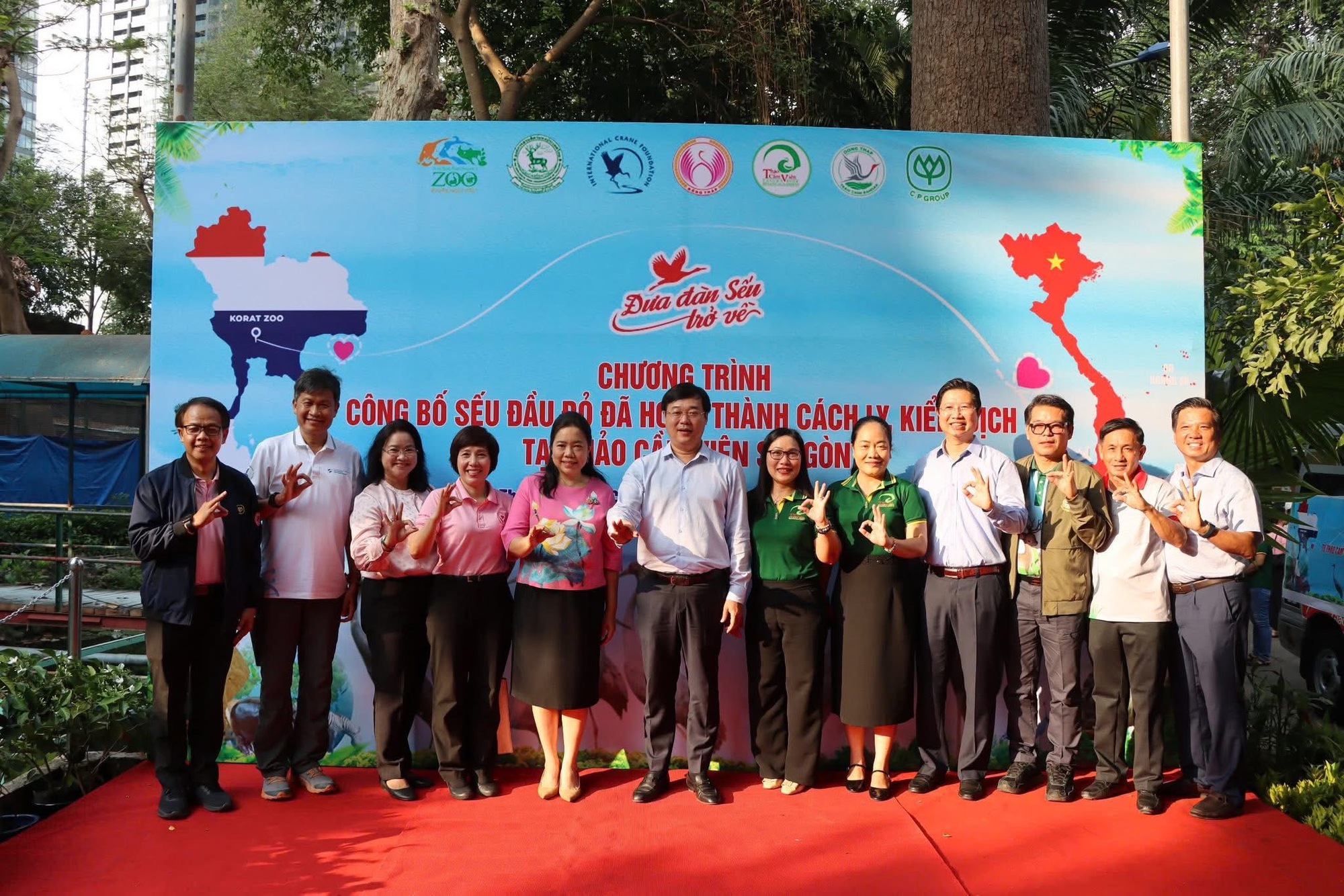 Đ&agrave;n sếu đầu đỏ Th&aacute;i Lan ho&agrave;n tất c&aacute;ch ly, sắp bay về Tr&agrave;m Chim- Ảnh 1.