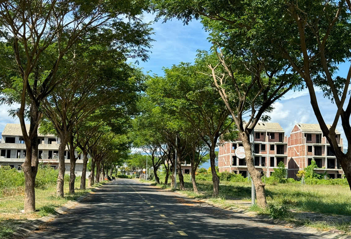 Trung Nam đề xuất "cởi tr&oacute;i" cho dự &aacute;n Golden Hills City ở Đ&agrave; Nẵng- Ảnh 2.