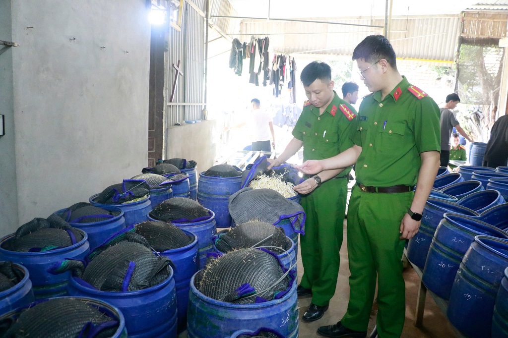 Chất cấm ng&acirc;m 3.500 tấn gi&aacute; đỗ b&aacute;n cho người d&acirc;n độc hại như thế n&agrave;o?- Ảnh 5.