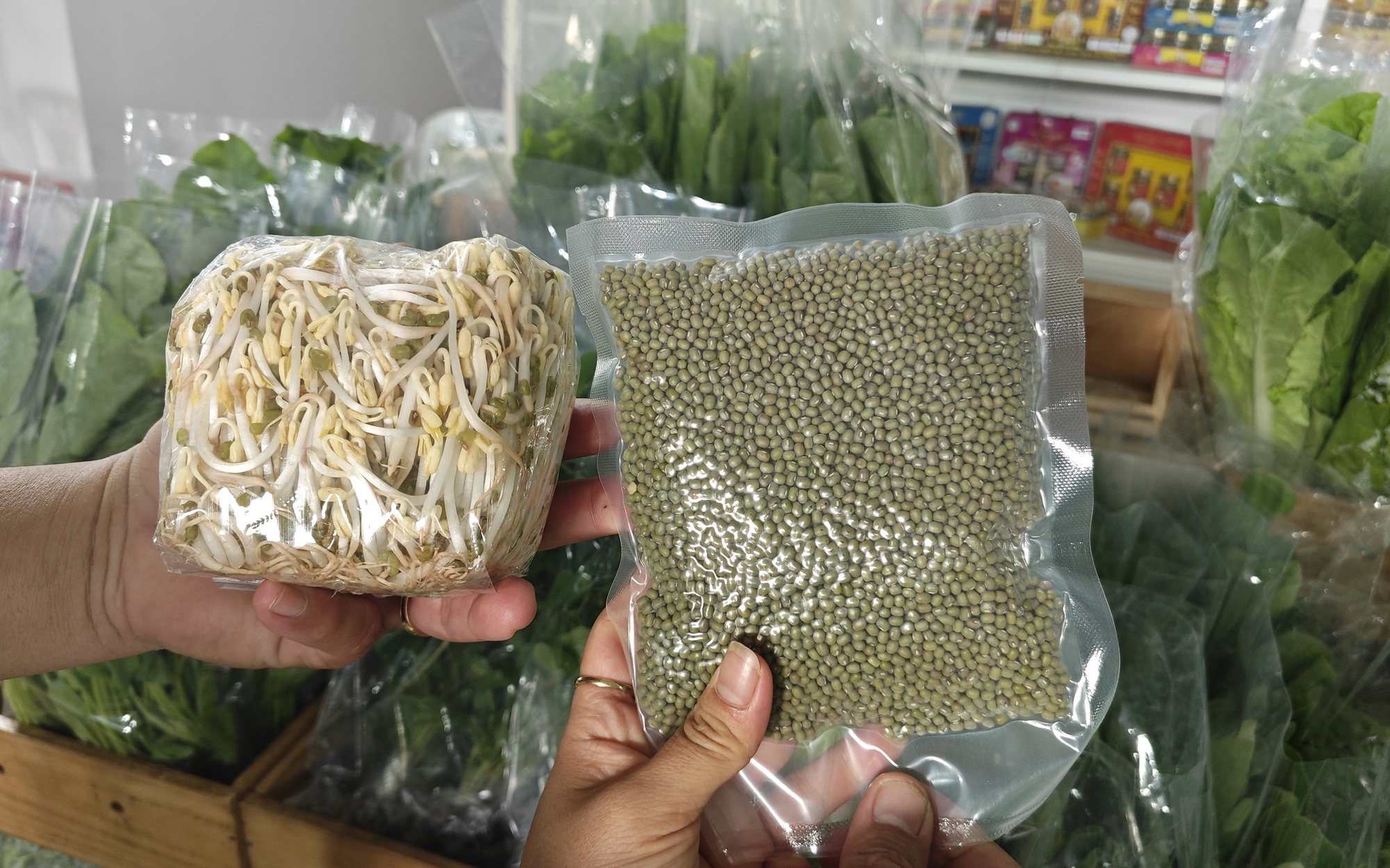 Lo giá đỗ ngâm hóa chất, người tiêu dùng "săn" giá ốm, rễ dài ở chợ xanh