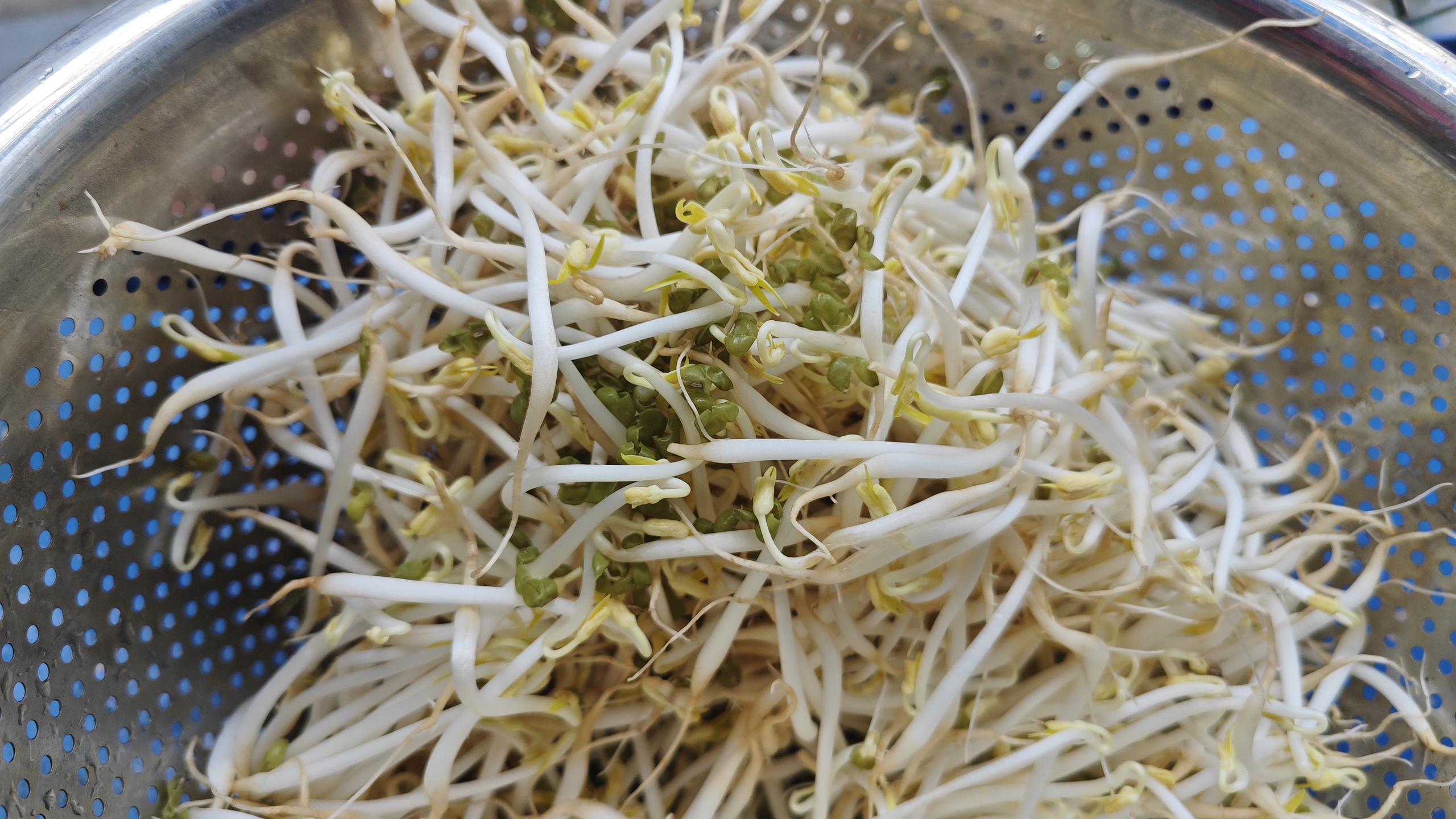 Lo gi&aacute; đỗ ng&acirc;m h&oacute;a chất, người ti&ecirc;u d&ugrave;ng "săn" gi&aacute; ốm, rễ d&agrave;i ở chợ xanh- Ảnh 2.