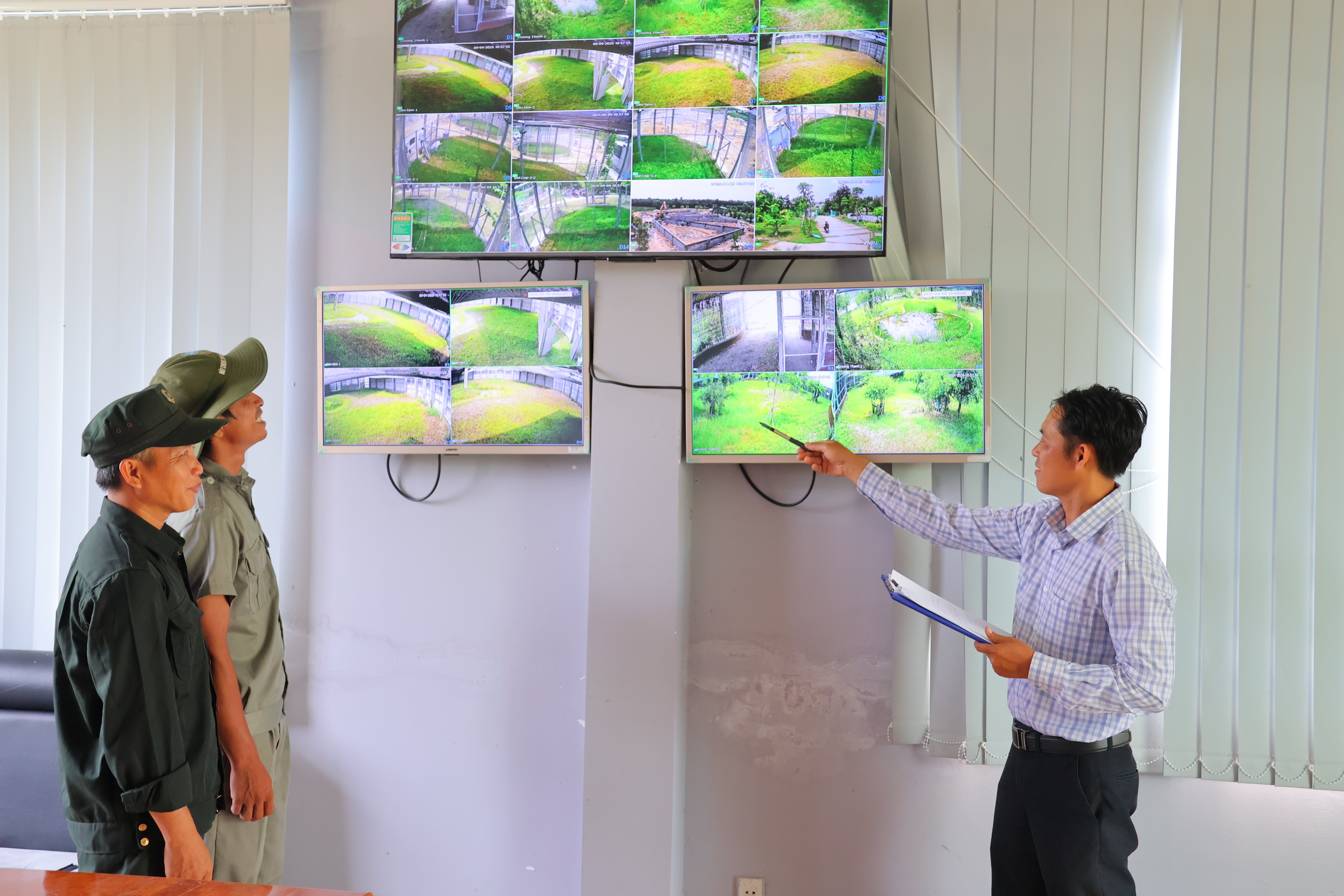 Đồng Tháp tiếp nhận 6 sếu đầu đỏ từ Thái Lan- Ảnh 1.