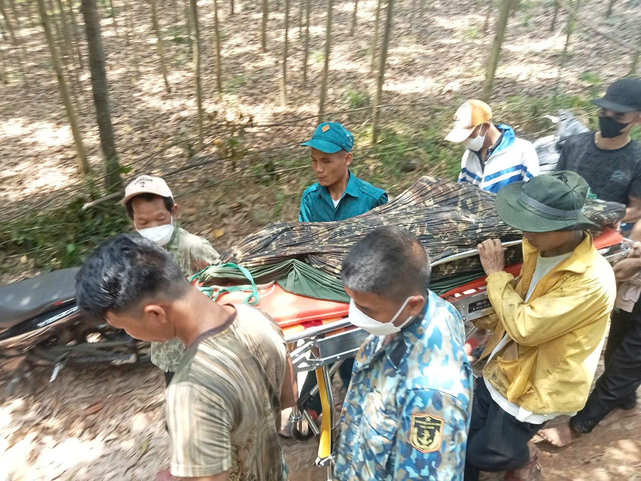 Một người d&acirc;n tử vong khi ngủ qua đ&ecirc;m trong rừng ở Quảng B&igrave;nh- Ảnh 1.