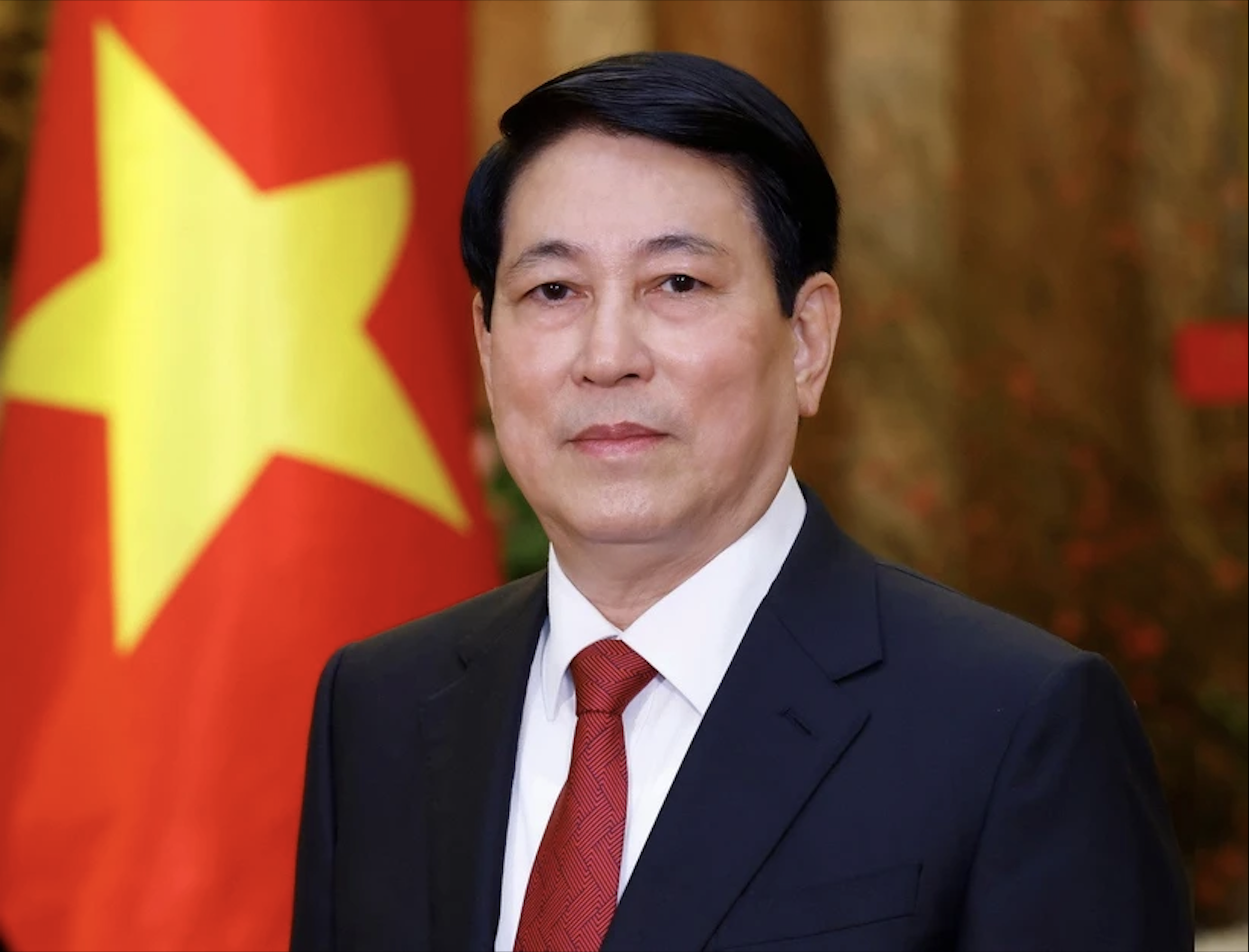 Chủ tịch nước Lương Cường thăm Lào- Ảnh 1.