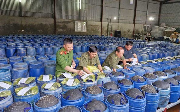 Đồng lõa với cái ác, lẽ nào?
